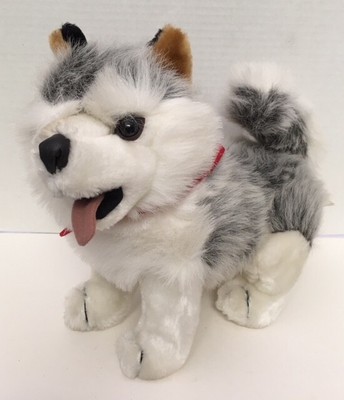 kellytoy husky